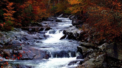 Inn of Loudon image 18